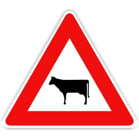 Szarvasmarha veszély közlekedési tábla